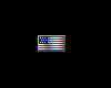 Tiny United States Flag
