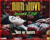 bed of roses