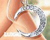 Moon Silver earrings