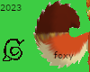 2023 foxy tail