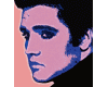 Cah- Elvis Sticker