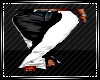 R* Pant