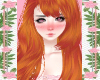 Oranale Ginger