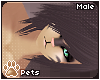 [Pets] Toxi | hair v6