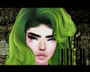 Patty Lime