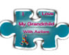autism grandparents