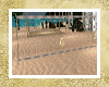 BEACH VOLLEY BALL