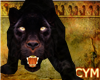 Cym Panther