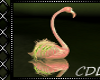 !C* T  Flamingo s Anim.