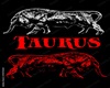 Taurus Dj Room