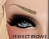 Perfect Eyebrows} Blonde