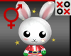 Crazy Bunny Buddy