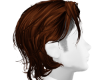 MS Read Br 2