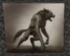 WH - ANI - Werewolf #5