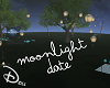 🐾 Moonlight Skylights