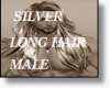 male long hair