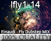 L. Einaudi - Fly DUB MIX