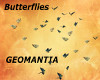 Butterflies fillers