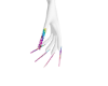 Venjii Unicorn Nails