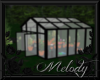 ~Animated Greenhouse~