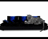 blackblue tiger couch