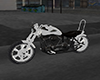 MOTOR CYCLE BIG DAWG