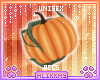 🌸; Spice Pumpkins