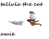 tallula the amie cat