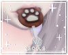 !! Paw Choco Lolly