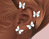 E* Silver Butterfly Earr