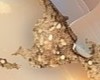 beige glitter