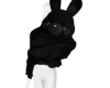 LVB.