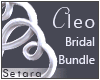 [S]CLEO BUNDLE