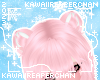 K| Bear Ears Sakura