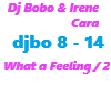 Dj Bobo /What a Feeling