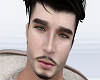 COLTON Pale Head