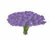 B~Purple Roses Bouquet