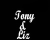 Tony & Liz Necklace/M