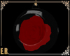 ɛʀ𓄿 R Rose Globe
