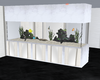 white fish tank