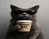gatines hf