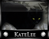 KL: FILLER: Black Cat