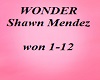Shawn Mendez Wonder
