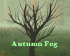 Autumn Fog Light Tree