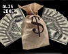 Thief's money bag /ladro