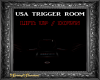 USA DJ Trigger Room