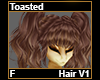 Toasted Hair F V1
