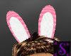 Bunny Ears Animated