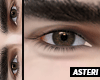 Asteri 3 | Castanho