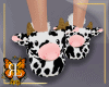 Slipper of the mama cow